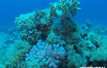 Zdjęcia z Dahab 2017