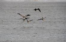 Zdjęcia z Coco Island