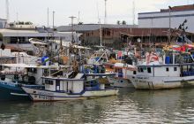 Zdjęcia z Coco Island