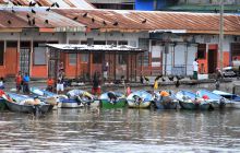 Zdjęcia z Coco Island