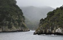 Zdjęcia z Coco Island