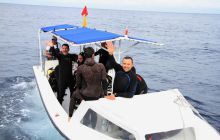 Zdjęcia z Coco Island