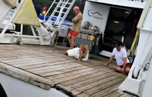 Zdjęcia z Coco Island