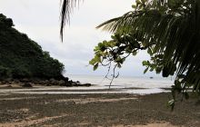 Zdjęcia z Coco Island