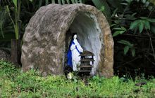 Zdjęcia z Coco Island