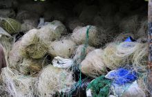 Zdjęcia z Coco Island