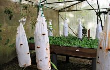 Zdjęcia z Coco Island