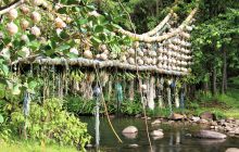 Zdjęcia z Coco Island