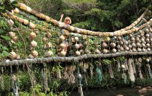 Zdjęcia z Coco Island