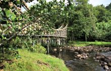 Zdjęcia z Coco Island