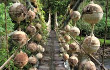 Zdjęcia z Coco Island