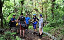 Zdjęcia z Coco Island