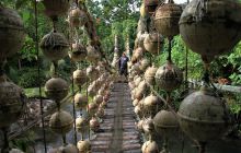 Zdjęcia z Coco Island