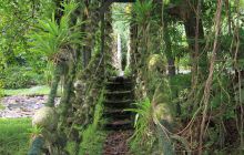 Zdjęcia z Coco Island