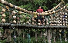 Zdjęcia z Coco Island