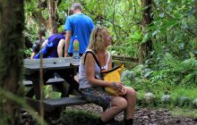 Zdjęcia z Coco Island