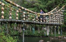 Zdjęcia z Coco Island