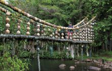 Zdjęcia z Coco Island