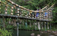 Zdjęcia z Coco Island