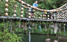 Zdjęcia z Coco Island