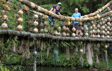 Zdjęcia z Coco Island