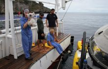 Zdjęcia z Coco Island