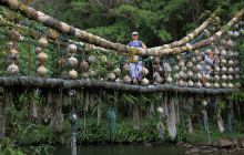 Zdjęcia z Coco Island