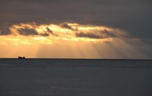 Zdjęcia z Coco Island