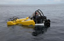 Zdjęcia z Coco Island