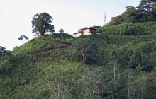 Zdjęcia z Coco Island