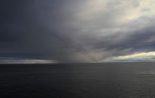 Zdjęcia z Coco Island