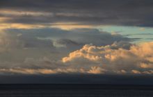 Zdjęcia z Coco Island