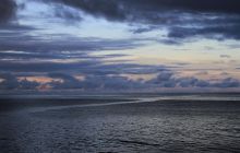 Zdjęcia z Coco Island