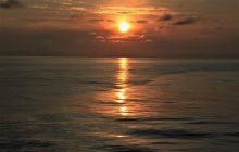 Zdjęcia z Coco Island