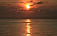 Zdjęcia z Coco Island