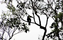 Zdjęcia z Coco Island