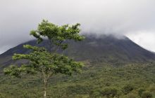 Zdjęcia z Coco Island