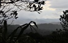 Zdjęcia z Coco Island