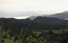 Zdjęcia z Coco Island