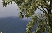 Zdjęcia z Coco Island