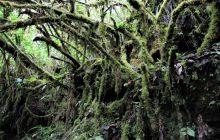 Zdjęcia z Coco Island