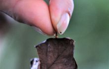 Zdjęcia z Coco Island