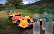 Zdjęcia z Coco Island