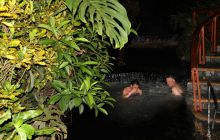 Zdjęcia z Coco Island