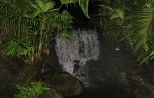 Zdjęcia z Coco Island