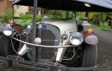 Zdjęcia z Coco Island