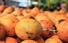 Zdjęcia z Coco Island