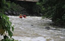 Zdjęcia z Coco Island