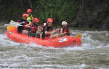 Zdjęcia z Coco Island