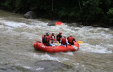 Zdjęcia z Coco Island